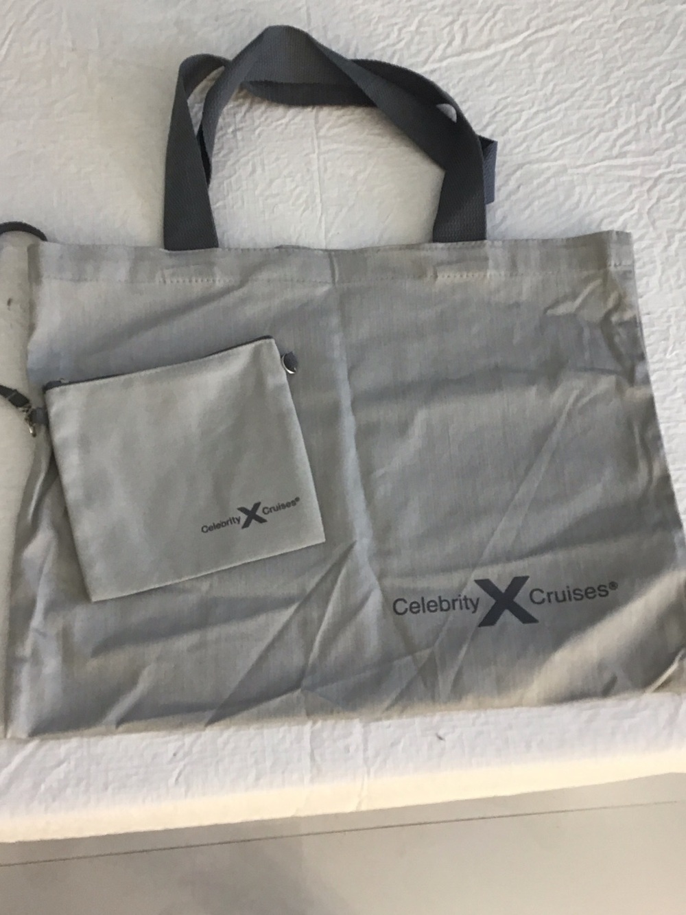 Light Gray Tote Bag with Matching Pouch NWOT. ##